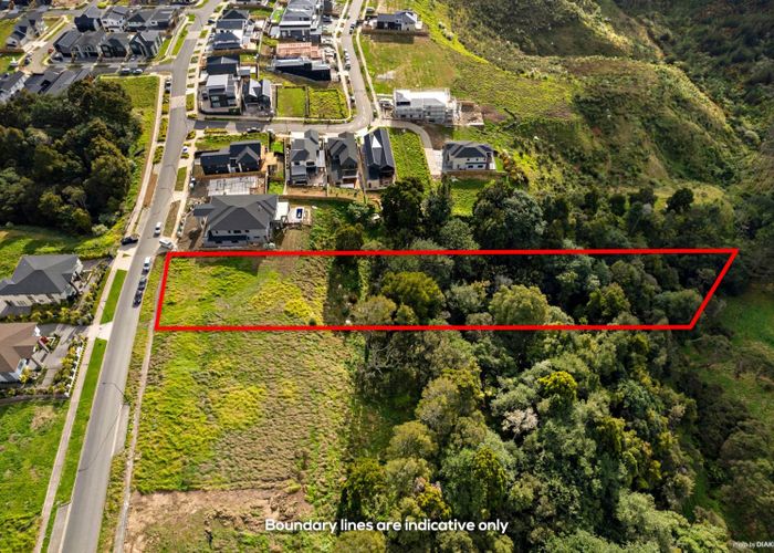  at 25 Michael Bosher Way, Flat Bush, Manukau City, Auckland