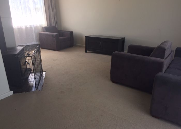  at 79 Bassett Street, Burwood, Christchurch