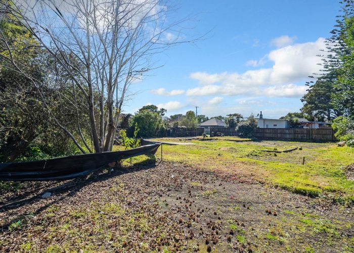  at 18 Riversdale Road, Avondale, Auckland City, Auckland