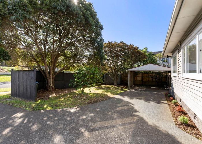  at 46 Ferndale Road, Mount Wellington, Auckland City, Auckland