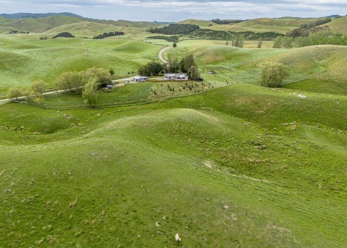  at 209 Pattison Road, Waipukurau, Central Hawke's Bay, Hawke's Bay