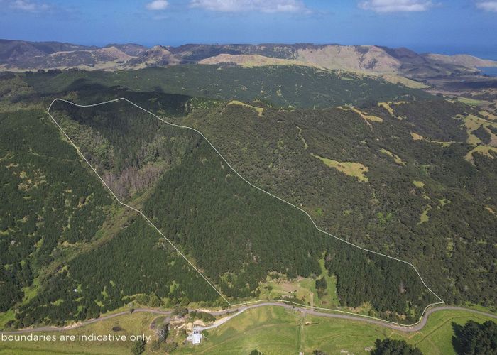  at Lot 17 Puhata Road, Herekino, Far North, Northland