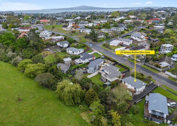  at 25 Apirana Avenue, Glen Innes, Auckland City, Auckland
