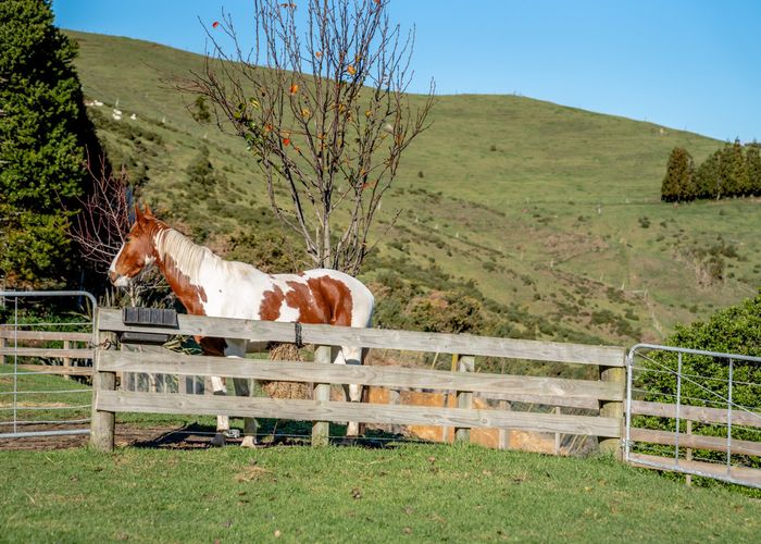  at 50 Walden Lane, Tauranga