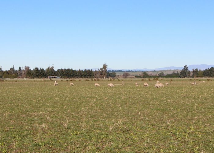  at 0 Woodbury Rd, Woodbury, Geraldine