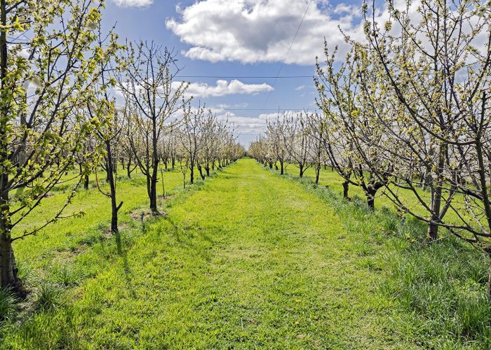  at 1520 Tram Road, Swannanoa, Rangiora