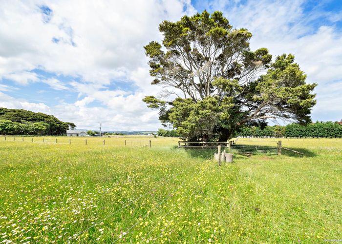  at 38 Kotuku Road, Waiuku