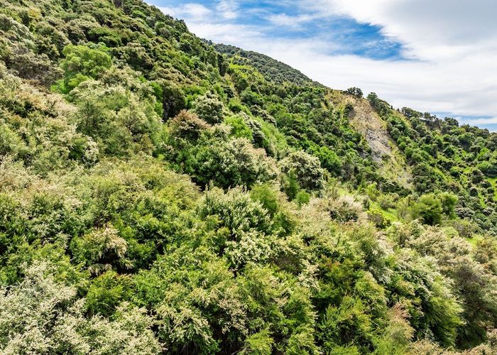  at 1179 Waiau-Toa Road, Kaikoura, Kaikoura, Marlborough