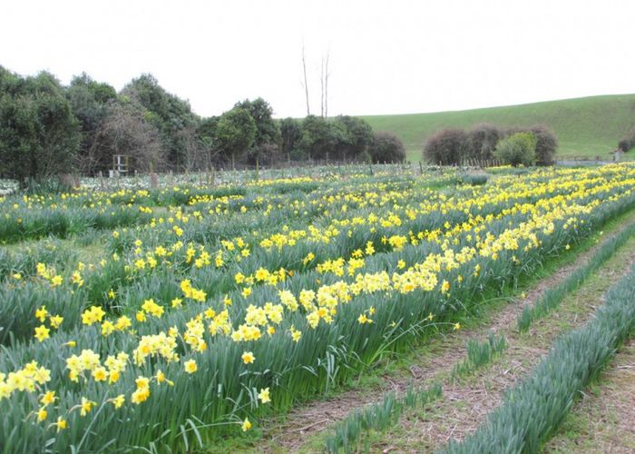 at 63 Florida Road, Muhunoa East, Levin