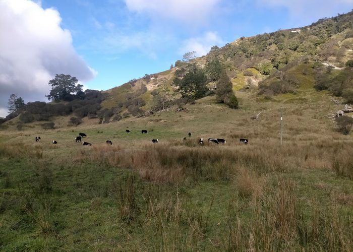  at 900 Okau Road, Ahititi, Urenui