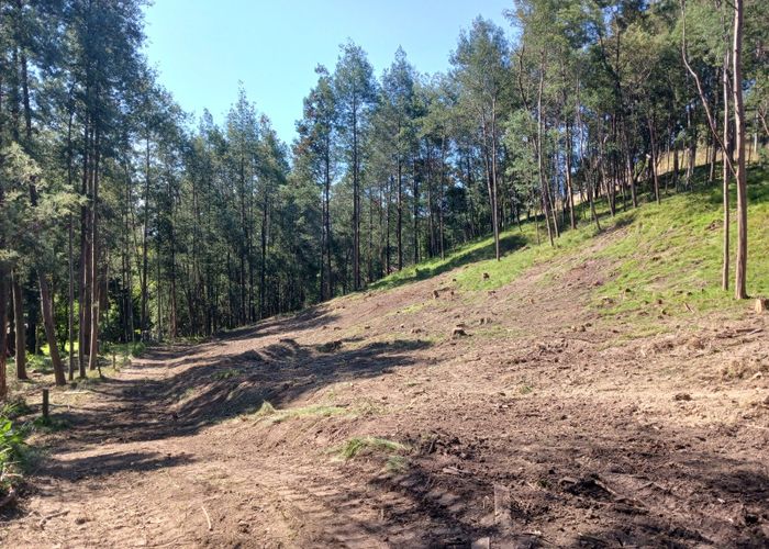  at Lot 1/74 Te Mata Peak Road, Havelock North, Hastings, Hawke's Bay