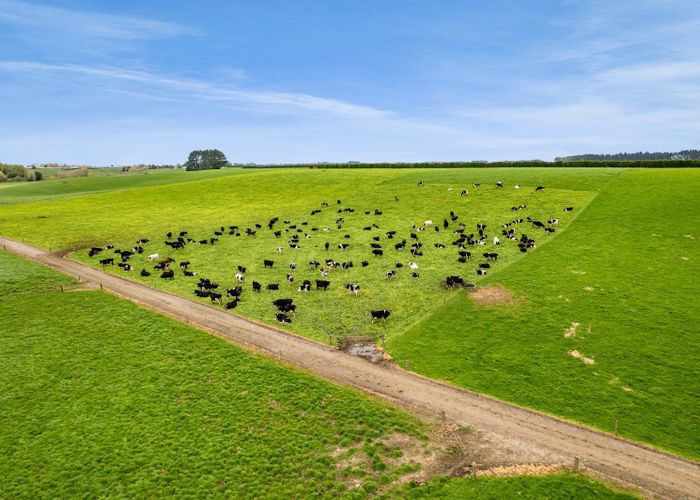  at 226 Ngarongo Road, Normanby, South Taranaki, Taranaki