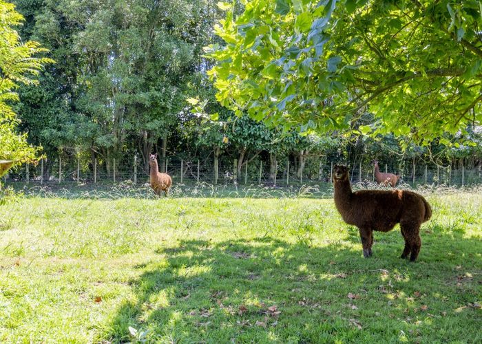  at 20 Grande View Terrace, Ohau, Oahu
