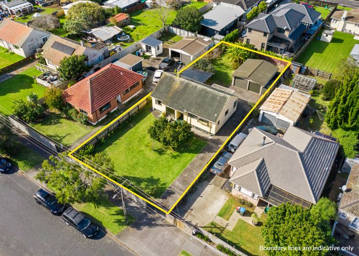  at 20 Tamatea Avenue, Point England, Auckland