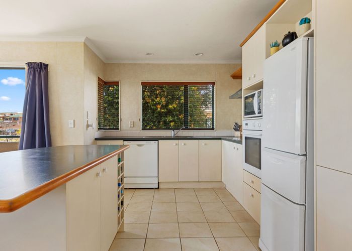  at 6 Hairini Street, Hairini, Tauranga, Bay Of Plenty