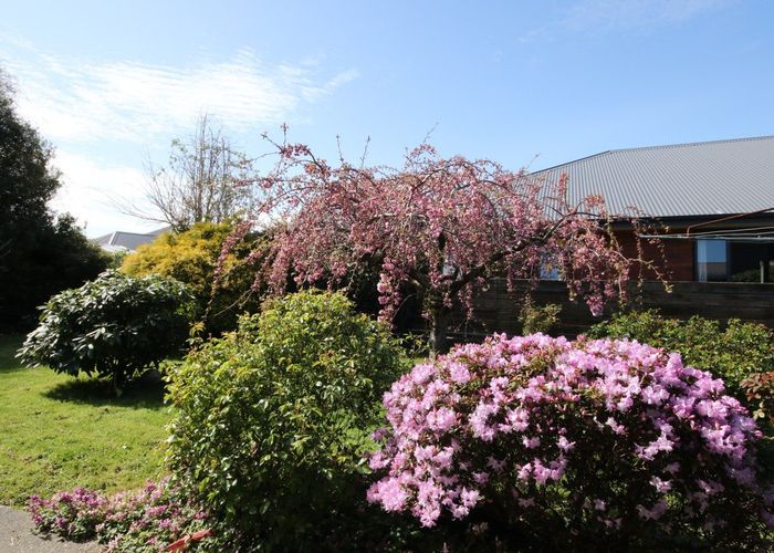  at 20 Vogel Street, Waikiwi, Invercargill