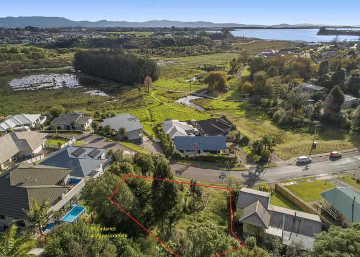  at 46 Graham Place, Bellevue, Tauranga, Bay Of Plenty