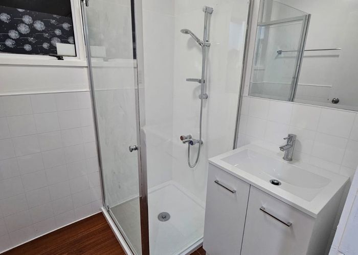  at 20 Larnoch Road, Henderson, Henderson, Waitakere City, Auckland