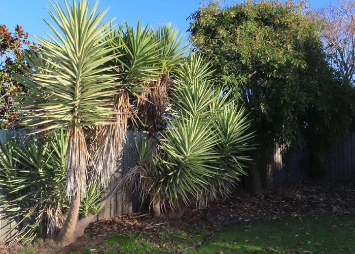  at 25 Eastwood Rise, Waimairi Beach, Christchurch City, Canterbury