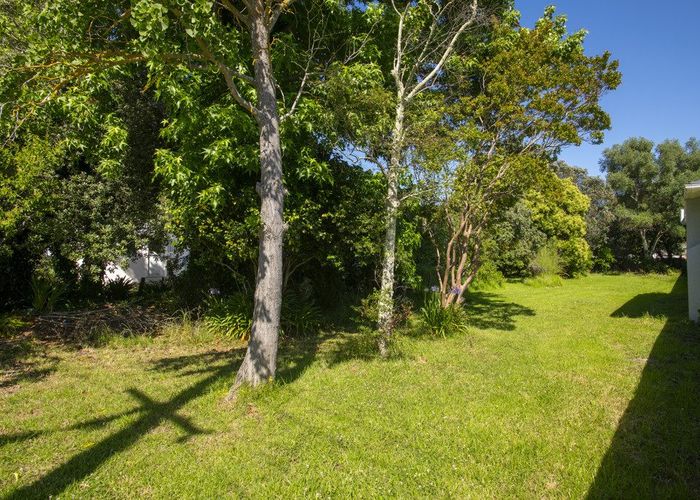  at 29 Endcliffe Road, Kaiti, Gisborne, Gisborne