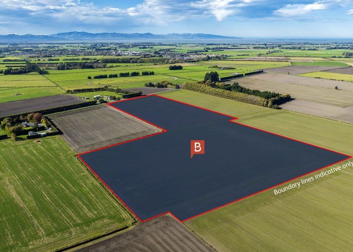For sale (10ha) Prossers Road, Leeston, Selwyn, Canterbury homes.co.nz