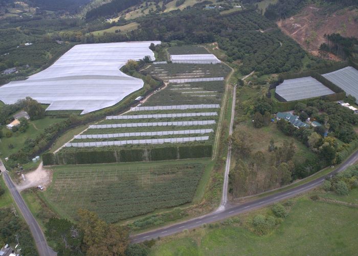  at 41D Ross Ware Drive, Athenree, Western Bay Of Plenty, Bay Of Plenty