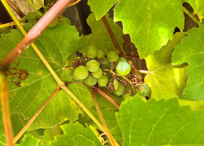  at 2/26 Tawa Street, Eastbourne, Lower Hutt, Wellington