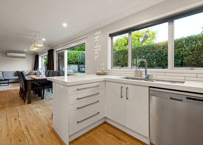  at 19 Colquhoun Place, Dinsdale, Hamilton