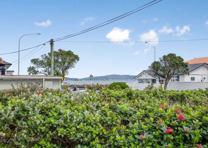  at 4 Collins Street, Petone, Lower Hutt, Wellington