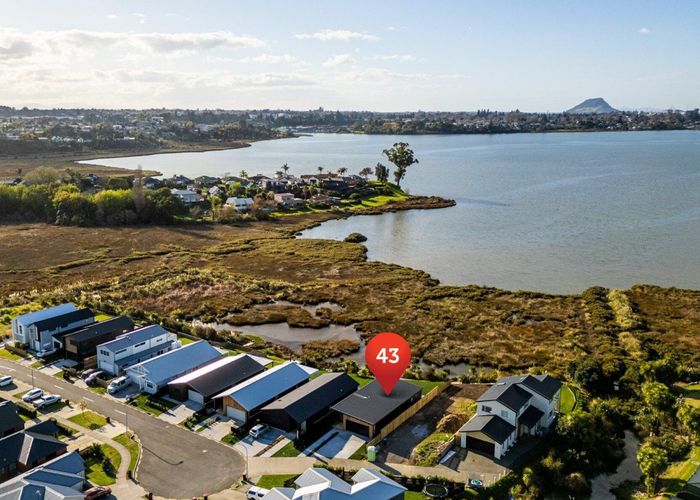  at 43 Hinaki Street, Poike, Tauranga, Bay Of Plenty