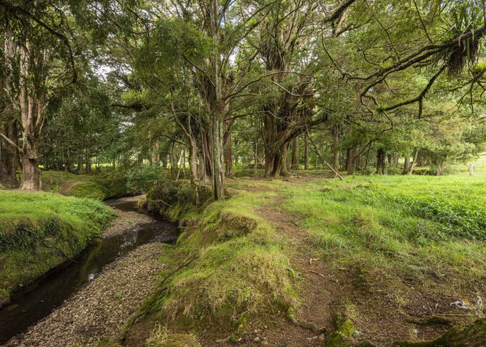  at 453 Pigs Head Road, Opuawhanga, Hikurangi