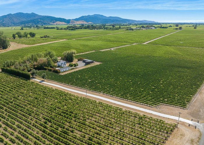  at 115 Matthews Lane, Rapaura