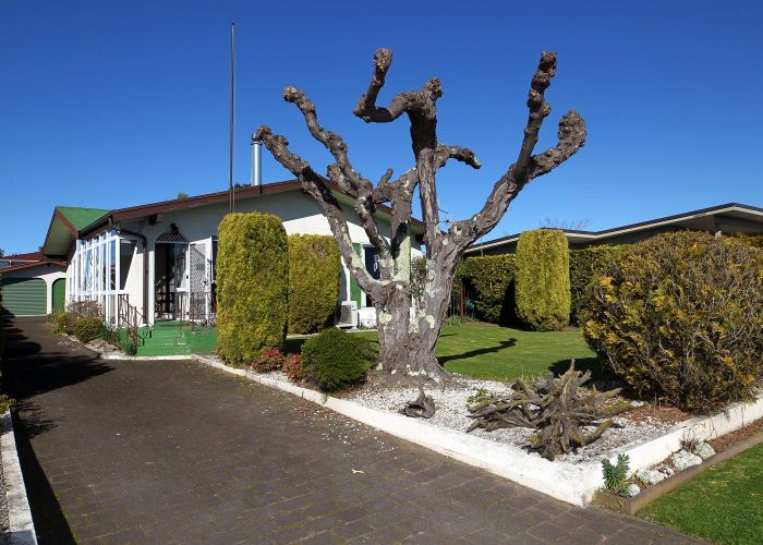  at 50 Napier Road, Havelock North, Havelock North