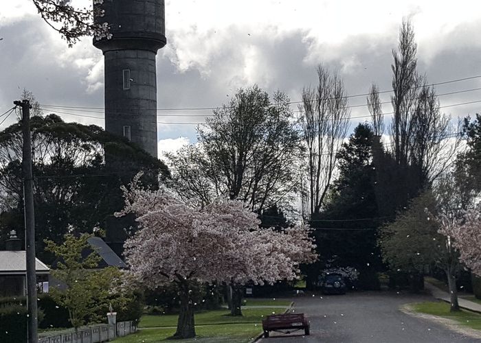  at 5 Hilbre Avenue, Gore, Gore