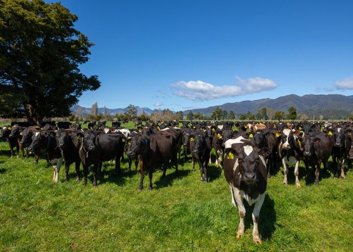  at 1707-1780 Takaka Valley Highway, Takaka, Tasman, Nelson / Tasman