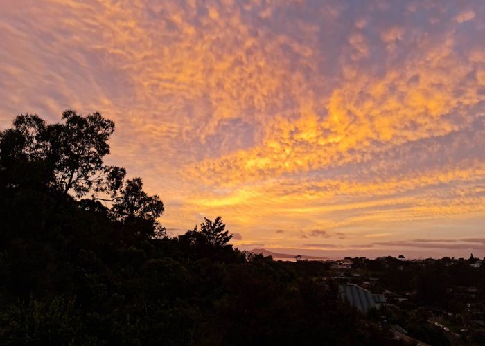  at 5 Gannet Point, Rothesay Bay, Auckland