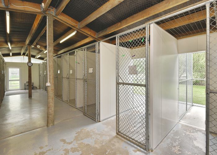  at 459 Fernside Road, Fernside, Rangiora