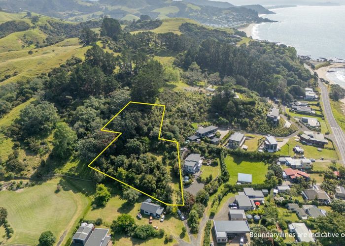  at 16 Kawhero Drive, Kuaotunu Beach, Thames-Coromandel, Waikato