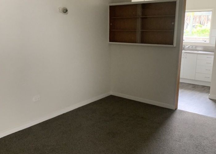  at 19 Attlee Place, City Centre, Gisborne, Gisborne