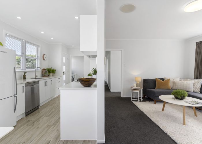  at 17B Roseneath Place, Birkdale, Auckland