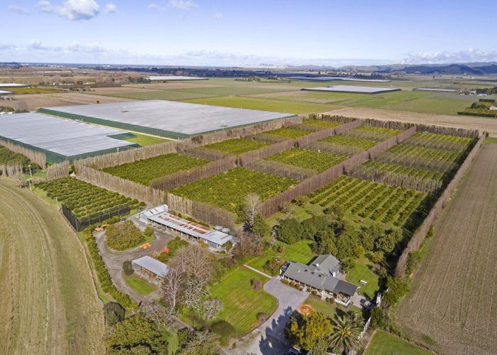  at 64 Cemetery Road, Patutahi, Gisborne, Gisborne