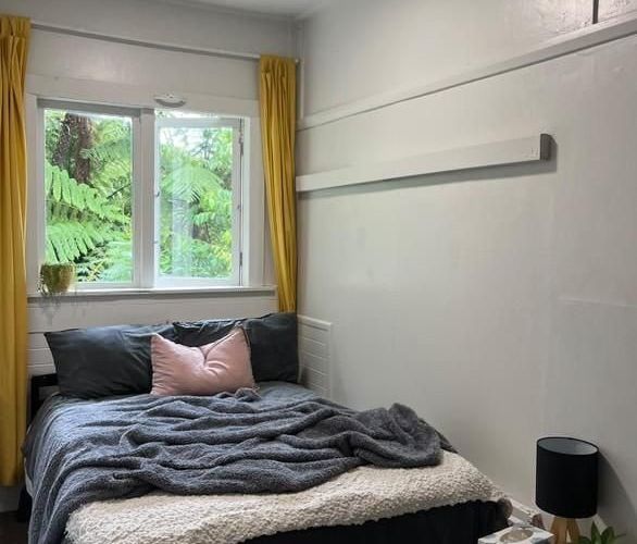  at 6 Semeloff Terrace, Aro Valley, Wellington, Wellington