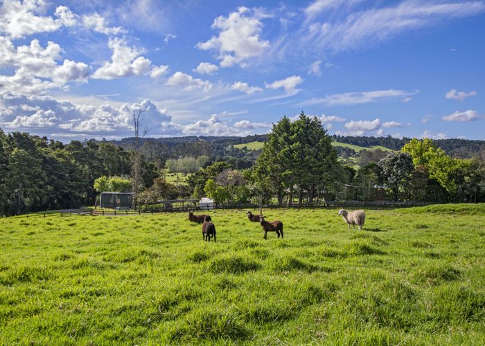  at 177 McLennan Road, Whakapara, Whangarei, Northland