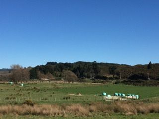  at 242 Wallaceville Road, Wallaceville, Upper Hutt
