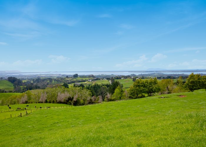  at 175A Tim Road, Whakamarama, Tauranga