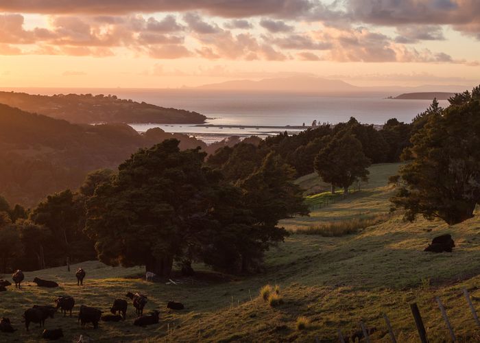  at 128 Schollum Road, Big Omaha, Warkworth