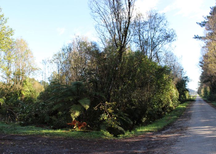 at 470 Wangapeka Road, Little Wanganui