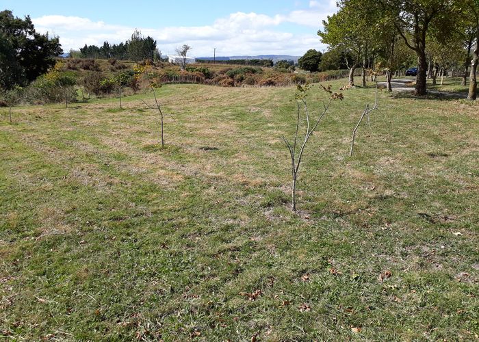  at 16 Bowen Street, Linton, Palmerston North