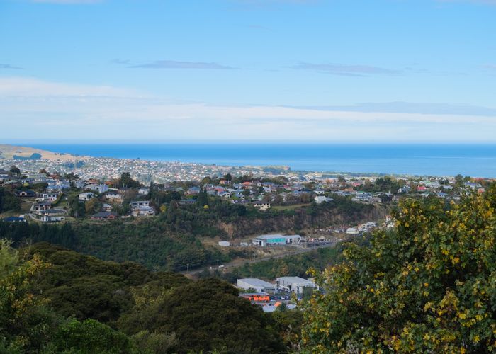  at 101 Cockerell Street, Brockville, Dunedin