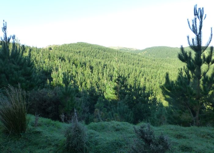  at 0 Ridge Road, Mangamutu, Pahiatua